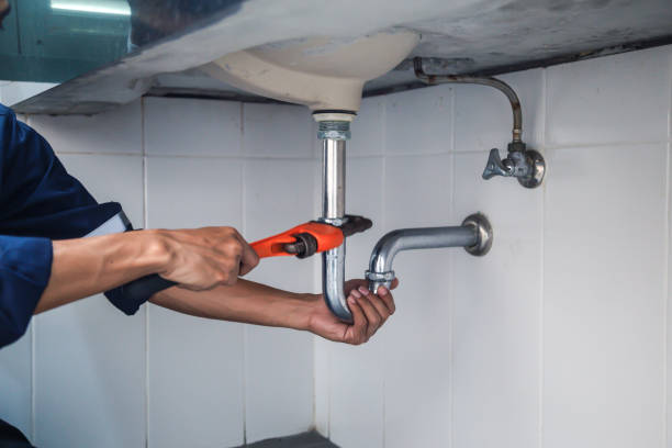 Best Clogged Drain Plumber  in Palos Heights, IL